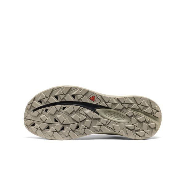 Men's Wander Trail Running Shoe | Star White/Desert Sage
