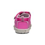 Toddlers' Seacamp II CNX | Very Berry/Dawn Pink