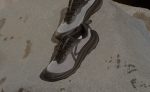 Men's Wander Trail Running Shoe  |  Black/Magnet