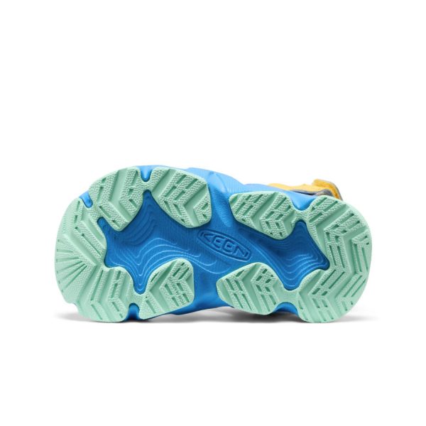 Toddlers' HyperFLT Clog | Azure Blue/Daffodil