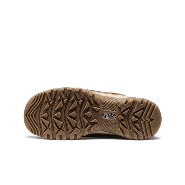 Women's Targhee IV Waterproof Hiking Shoe | Canteen/Huckleberry