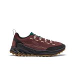 Men's Jasper Zionic Sneaker | Huckleberry/Lemon Grass