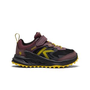 Little Kids' Zionic Waterproof Shoe | Huckleberry/Black