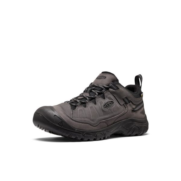 Men's Targhee IV Wide Waterproof Hiking Shoe | Magnet/Black