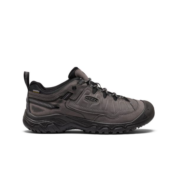 Men's Targhee IV Waterproof Hiking Shoe | Magnet/Black