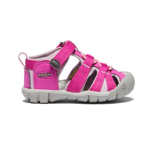 Toddlers' Seacamp II CNX | Very Berry/Dawn Pink